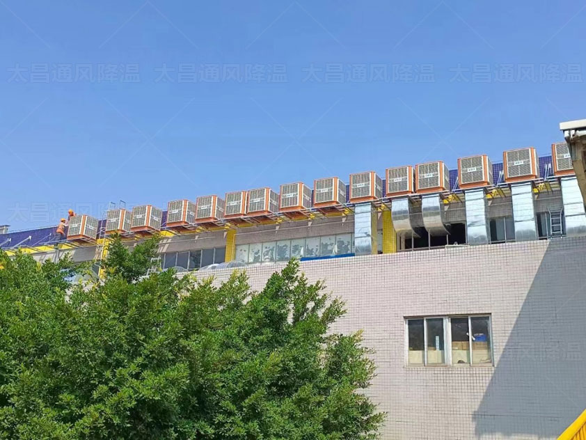 鐵皮廠房如何降溫，來這里了解更多方案