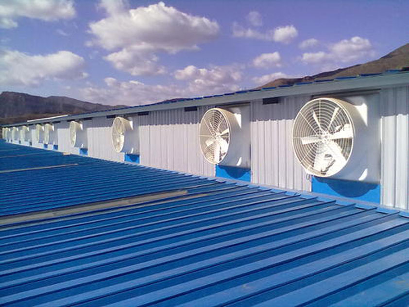 風(fēng)機 (2).jpg