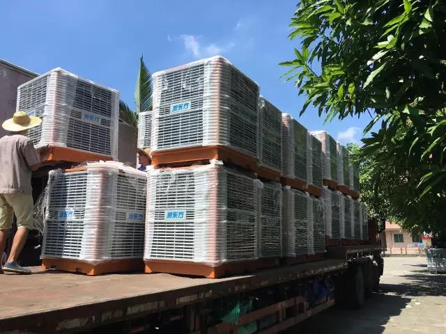 工廠車間快速降溫方法，你知道嗎？