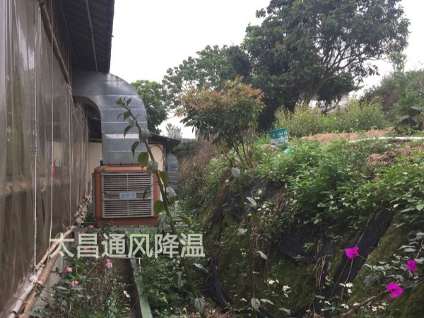 餐廳太熱？環(huán)?？照{(diào)為你送清風(fēng)